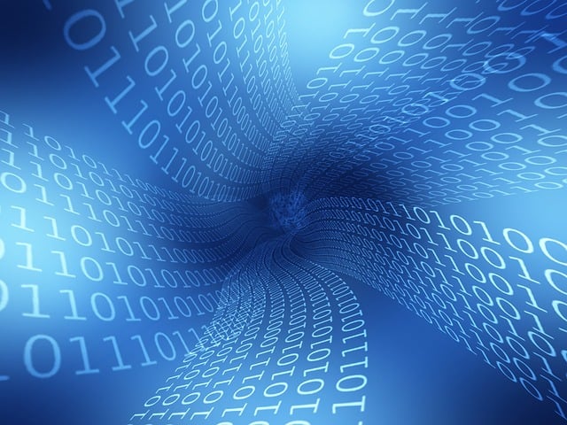Custom Web Solutions: Tailored Digital Experiences for Your Business-2024